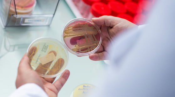 Собственная лаборатория